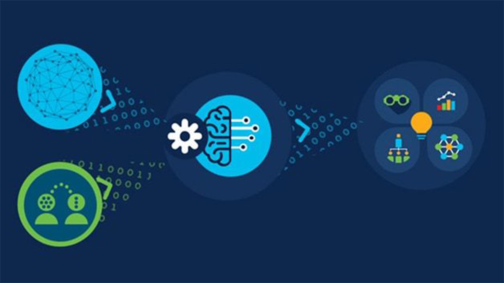 Unlocking Insights: Elevating Your Network with Analytics