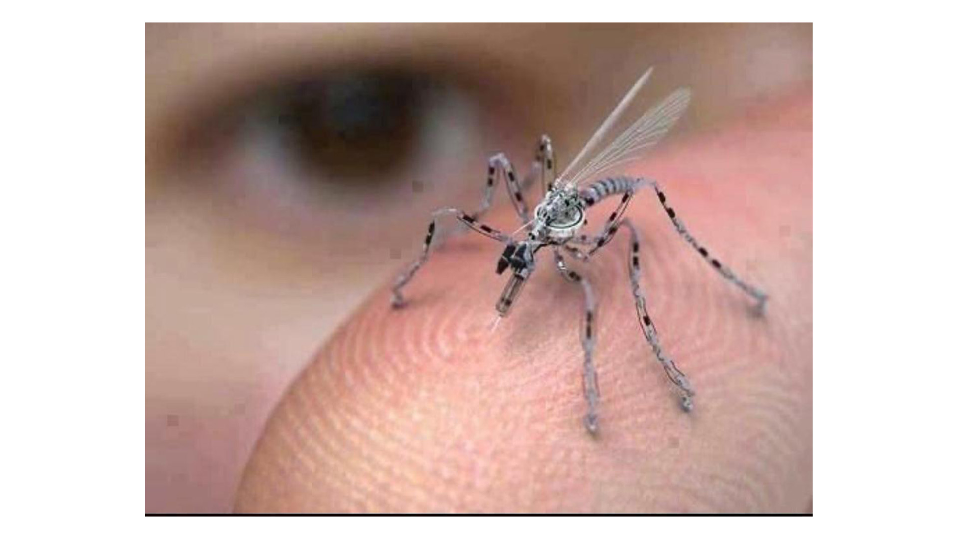 No, it is not a mosquito. It’s an insect spy drone