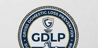 Beyond GDP. Why India Needs 'Gross Domestic Loss Prevention' (GDLP) Now
